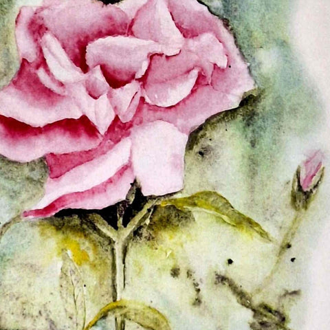 Art Card - Pink Rose - From the Original Watercolour by Nuala Brett- King - Parade Handmade