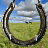 Lucky Horseshoe Keyrack - Black coloured with two Hooks by Liffey Forge - Parade Handmade