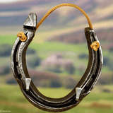 Lucky Horseshoe Keyrack - Black coloured with two Hooks by Liffey Forge - Parade Handmade