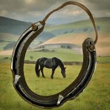 Lucky Horseshoe Keyrack - Black coloured with two Hooks by Liffey Forge - Parade Handmade