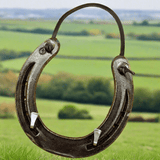 Lucky Horseshoe Keyrack - Bronze coloured with two Hooks by Liffey Forge - Parade Handmade