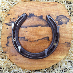 Mounted Lucky Horseshoe Key Rack by Liffey Forge