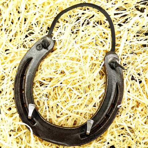 Lucky Horseshoe Keyrack - Bronze coloured with two Hooks by Liffey Forge - Parade Handmade