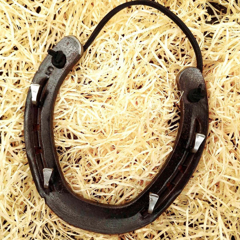 Lucky Horseshoe Keyrack - Bronze with four hooks by Liffey Forge - Parade Handmade