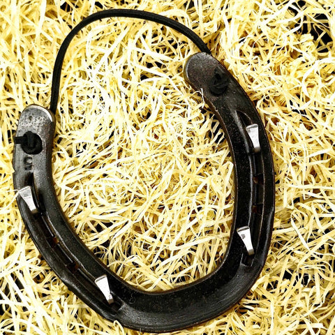 Lucky Horseshoe Keyrack - Bronze with four hooks by Liffey Forge - Parade Handmade