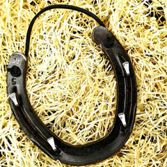 Lucky Horseshoe Keyrack - Bronze Coloured with four hooks by Liffey Forge