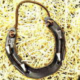 Lucky Horseshoe Keyrack - Bronze Coloured with four hooks by Liffey Forge