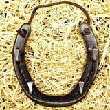 Lucky Horseshoe Keyrack - Bronze Coloured with four hooks by Liffey Forge