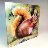 Squirrel Card Blank - 5" Square - From Original Watercolour Painting - By Nuala Brett-King - Parade Handmade