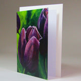 Art Card, 'Black Tulip', by Nuala Brett-King - Parade Handmade