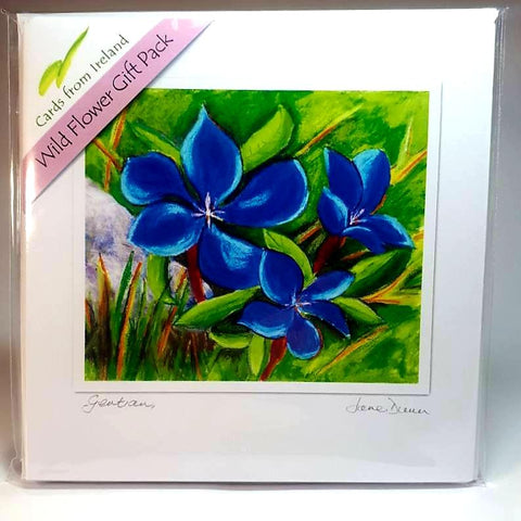 Art Cards Wild Flower Gift Pack, Four Scenes, By Jane Dunn - Parade Handmade