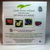 Art Cards Wild Flower Gift Pack, Four Scenes, By Jane Dunn - Parade Handmade