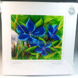 Gentian, Art Card from original, By Jane Dunn - Parade Handmade