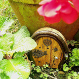 Horseshoe Keyrack Fairy Door With Mushroom, By Liffey Forge - Parade Handmade