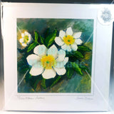 Mountain Avens Art Card, By Jane Dunn - Parade Handmade