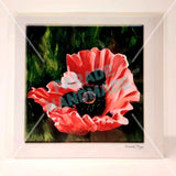 Oriental Poppy, Art Card by Nuala Brett-King - Parade Handmade Newport