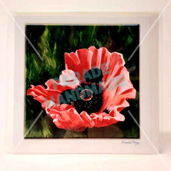 Oriental Poppy, Art Card by Nuala Brett-King
