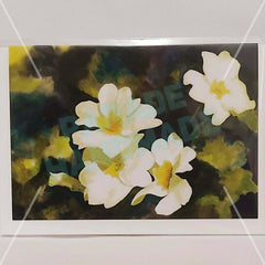'Queen Of May, Primrose Card, By Nuala Brett-King