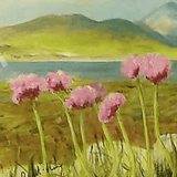 Seathrift at Clew Bay Limited Edition Print, by Nuala Brett- King - Parade Handmade Ireland