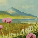 Seathrift at Clew Bay Limited Edition Print, by Nuala Brett- King - Parade Handmade Co Mayo