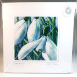 Snowdrop Greeting Art Card, By Jane Dunn - Parade Handmade