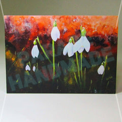 Snowdrops, By Nuala Brett-King