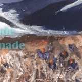 'Spring Crocuses', Original Framed Artwork, By Noreen Sadler - Parade Handmade Ireland